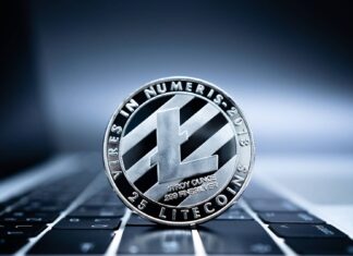 Señalan que el 2025 fue un año decisivo para el ecosistema de Litecoin
