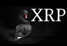 CISNE NEGRO 😱 TODO LO HAN PLEANEADO ACORDE A MIDTERMS – RIPPLE XRP CISNE NEGRO 😱 TODO LO HAN PLEANEADO ACORDE A MIDTERMS - RIPPLE XRP