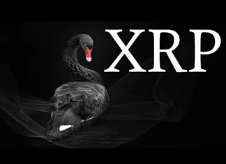 CISNE NEGRO 😱 TODO LO HAN PLEANEADO ACORDE A MIDTERMS – RIPPLE XRP CISNE NEGRO 😱 TODO LO HAN PLEANEADO ACORDE A MIDTERMS - RIPPLE XRP