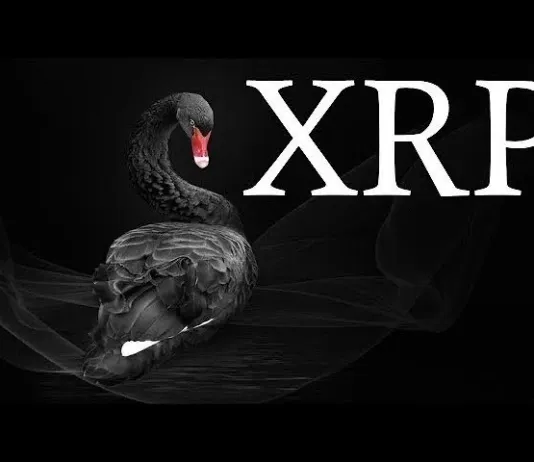 CISNE NEGRO 😱 TODO LO HAN PLEANEADO ACORDE A MIDTERMS - RIPPLE XRP
