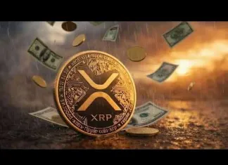 ESTO ES LO QUE PUEDE LLEGAR A VALER XRP SEGÚN BANCO STANDARD CHARTERED*  #xrp #ripple #xrpnews #etf