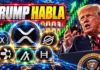 🔥 TRUMP HABLA EN DIRECTO: TODO PUEDE CAMBIAR HOY PARA XRP Y LAS ALTCOINS