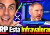 🚨 CEO DE RIPPLE: "El Precio de XRP NO Está Reflejando Esto..."