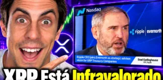 🚨 CEO DE RIPPLE: "El Precio de XRP NO Está Reflejando Esto..."
