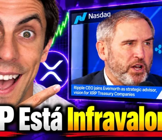 🚨 CEO DE RIPPLE: "El Precio de XRP NO Está Reflejando Esto..."