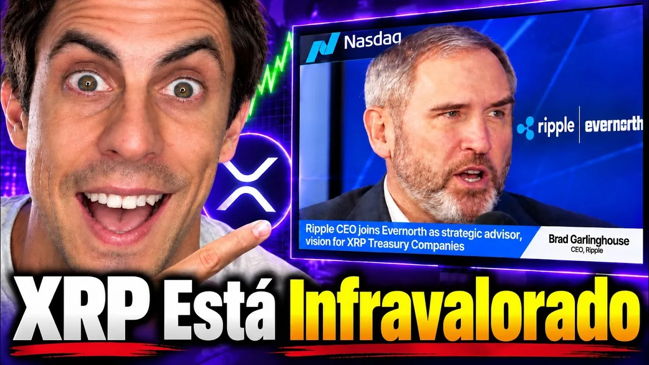 🚨 CEO DE RIPPLE: "El Precio de XRP NO Está Reflejando Esto..." 🚨 CEO DE RIPPLE: "El Precio de XRP NO Está Reflejando Esto..."