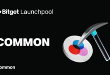 Common (COMMON) para aparecer en Bitget Launchpool