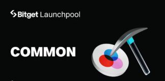 Common (COMMON) para aparecer en Bitget Launchpool