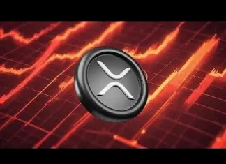 ¡¡¡ÚLTIMAS NOTICIAS SOBRE XRP RIPPLE!!! ¡¡¡DIOS, VIERNES ROJO!!! #xrp #ripple #xrpnews ¡¡¡ÚLTIMAS NOTICIAS SOBRE XRP RIPPLE!!! ¡¡¡DIOS, VIERNES ROJO!!! #xrp #ripple #xrpnews