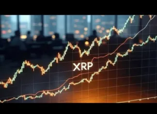 ¡¡¡ÚLTIMAS NOTICIAS SOBRE XRP RIPPLE!!! ¡¡¡TE QUIEREN VER FUERA!!! #xrp #ripple #xrpnews