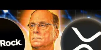 ¡¡¡VUELVEN LOS RUMORES DE XRP RIPPLE BLACKROCK!!! ¡¡¡BERKSHIRE SABE LO QUE VIENE!!! #xrp #xrpnews