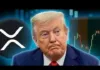 ¡XRP, ESTO ES LO QUE ESTÁBAMOS ESPERANDO! ¡XRP, ESTO ES LO QUE ESTÁBAMOS ESPERANDO!