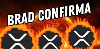 XRP RIPPLE ¡¡¡BRAD GARLINGHOUSE LO ACABA DE CONFIRMAR!!! ¡¡¡ESTO ES LO QUE NECESITAS ESCUCHAR!! #xrp