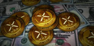 XRP RIPPLE ¡¡¡NOTICIAS DE ÚLTIMA HORA!!! EVERNORTH AHORA SÍ COMPRARÁ XRP!