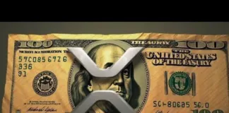 XRP RIPPLE ¡¡ÚLTIMA HORA XRP!! ¡¡RIPPLE LO ACABA DE CONFIRMAR!! *TODO ESTÁ PLANEADO*